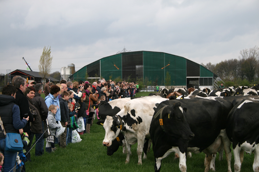Open Boerderijdag bij Melkveebedrijf fam. Houben te Dieteren